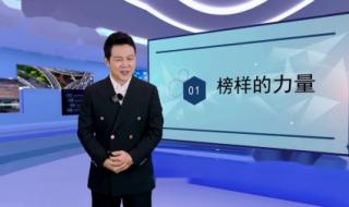 河南电视台法治频道直播