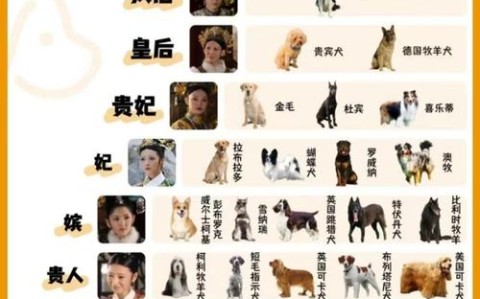 动物智商（哺乳动物智商）