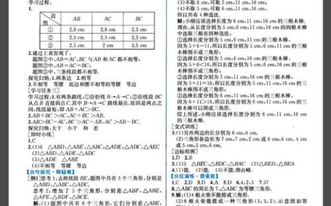 八年级上册数学作业本答案（八年级上册数学作业本答案2025）