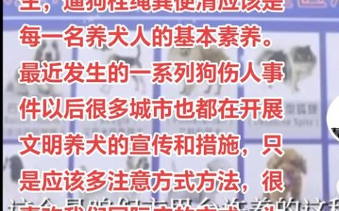 宠物伤人事件（宠物伤人案件）