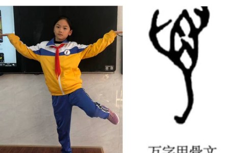 甲骨文编程课（甲骨文微课视频）