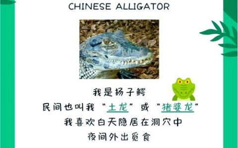 珍稀物种发现（珍稀物种发现过程）
