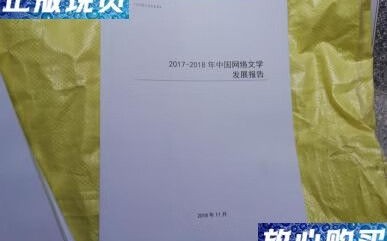 网络文学发展（网络文学发展报告）