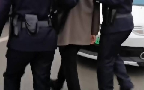 见义勇为抓贼（见义勇为抓贼视频）