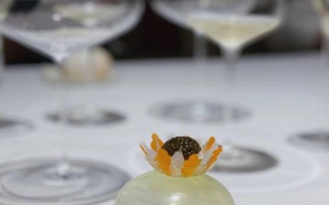 分子料理（创意菜谱图片和做法）