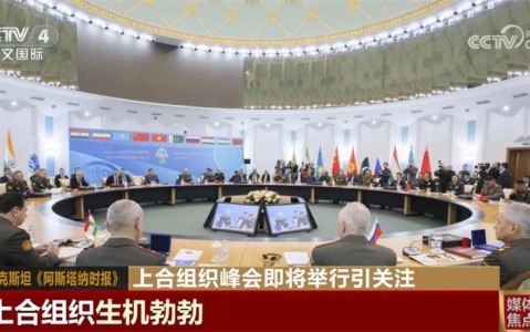 上合组织峰会（上合组织峰会成员国）
