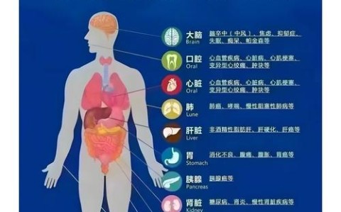肠道与大脑如何通过饮食调节改善情绪（肠道和大脑的魔性关系）