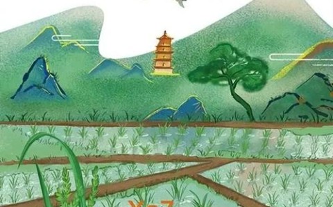 植物通讯（植物通讯杂志封面第一期）