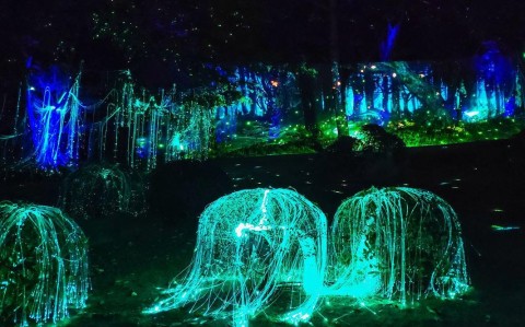 萤火虫灯光秀（萤火虫效果 灯光秀）