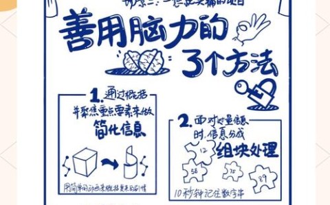 第二大脑构建指南用好你的数字笔记系统（打造第二大脑）