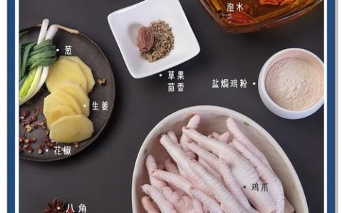 盐焗鸡爪的做法（盐焗鸡爪的做法大全）