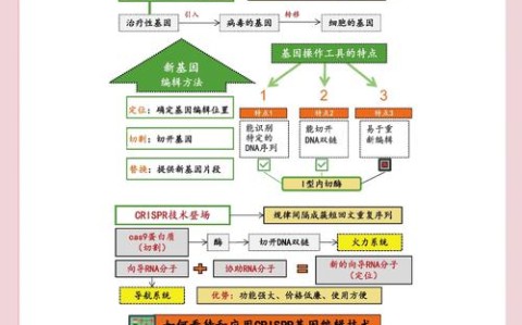 基因编辑（基因编辑治疗黄黑皮）