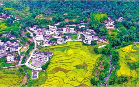 脱贫致富村庄（脱贫致富农村）