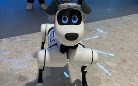 退休教师养200只机器狗（退休教师养200只机器狗可以吗）