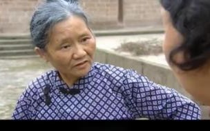普法栏目剧莲花闹海棠在哪看 莲花闹海棠普法栏目剧全集
