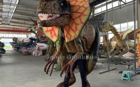 保安大叔恐龙cos巡逻（保安大叔恐龙cos巡逻视频）