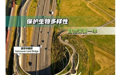 生物多样性保护（生物多样性保护重大工程）