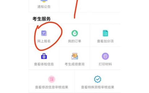 全国高等教育自学考试（全国高等教育自学考试考生服务平台）