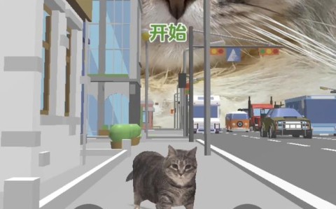 猫咪指挥交通（猫咪指路）
