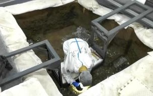 这是三星堆遗址发现的最大金面具吗 三星堆金面具的真容长啥样
