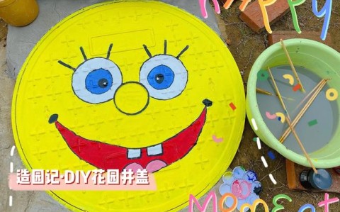井盖变身迷你花园的简单介绍