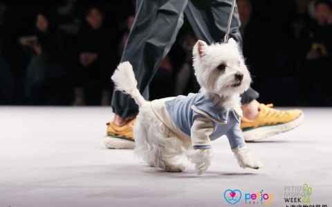 宠物变装时装周（宠物时装秀）