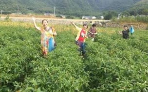 贵州威宁避暑农家乐多少钱一月 贵州避暑农家乐包吃住