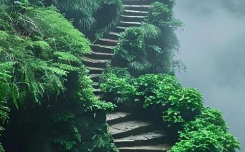 手机扔远比赛（世界扔手机大赛）