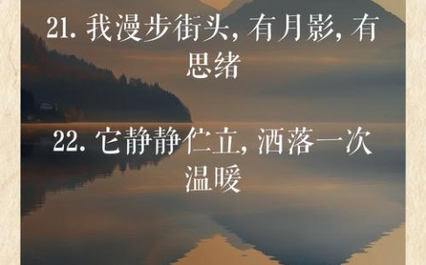 路灯为夜归人延时（路灯只是温暖夜归人的说说）
