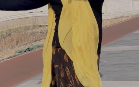 广场舞AI领舞员上岗（跳广场舞领舞的人要具备什么条件）