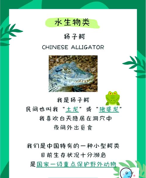 珍稀物种发现(珍稀物种发现过程)