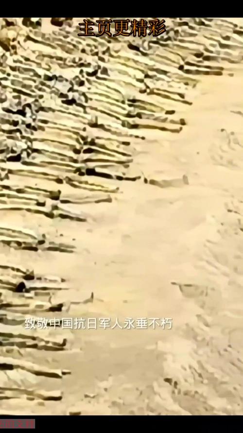抗战历史照片捐赠(抗战珍贵照片)
