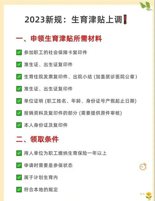 生育津贴直发新政(生育津贴发放原则)