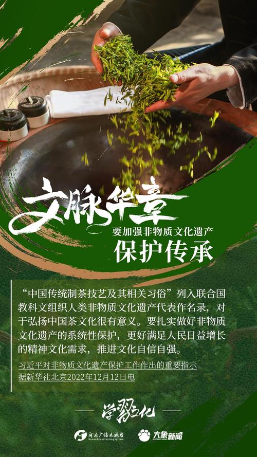 非遗保护传承（非遗保护传承发展）