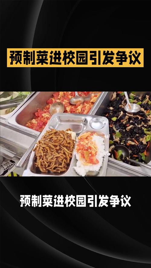 预制菜安全争议(预制菜卫生吗)