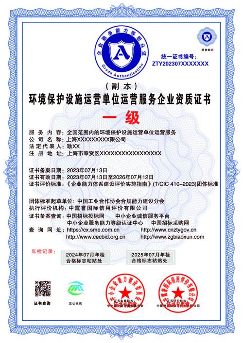 环境污染治理(环境污染治理设施运营资质)