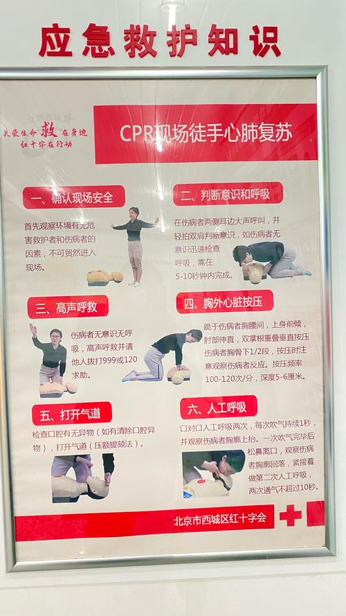 急救知识宣传（急救知识宣传简报）