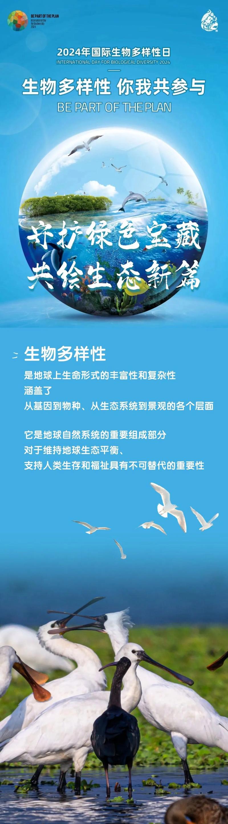 生物多样性保护（生物多样性保护重大工程）