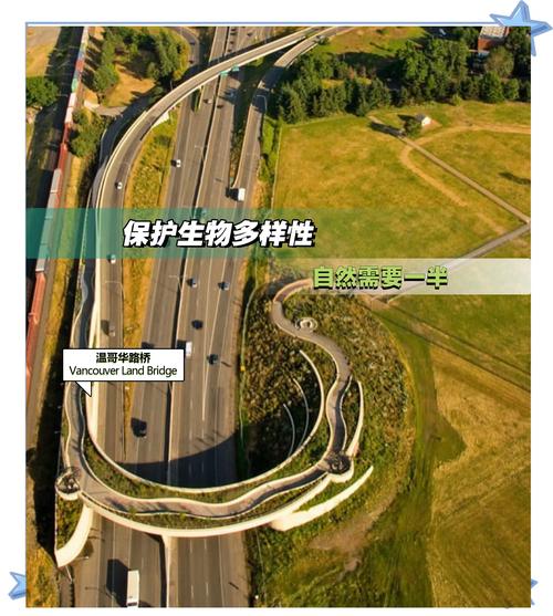 生物多样性保护（生物多样性保护重大工程）