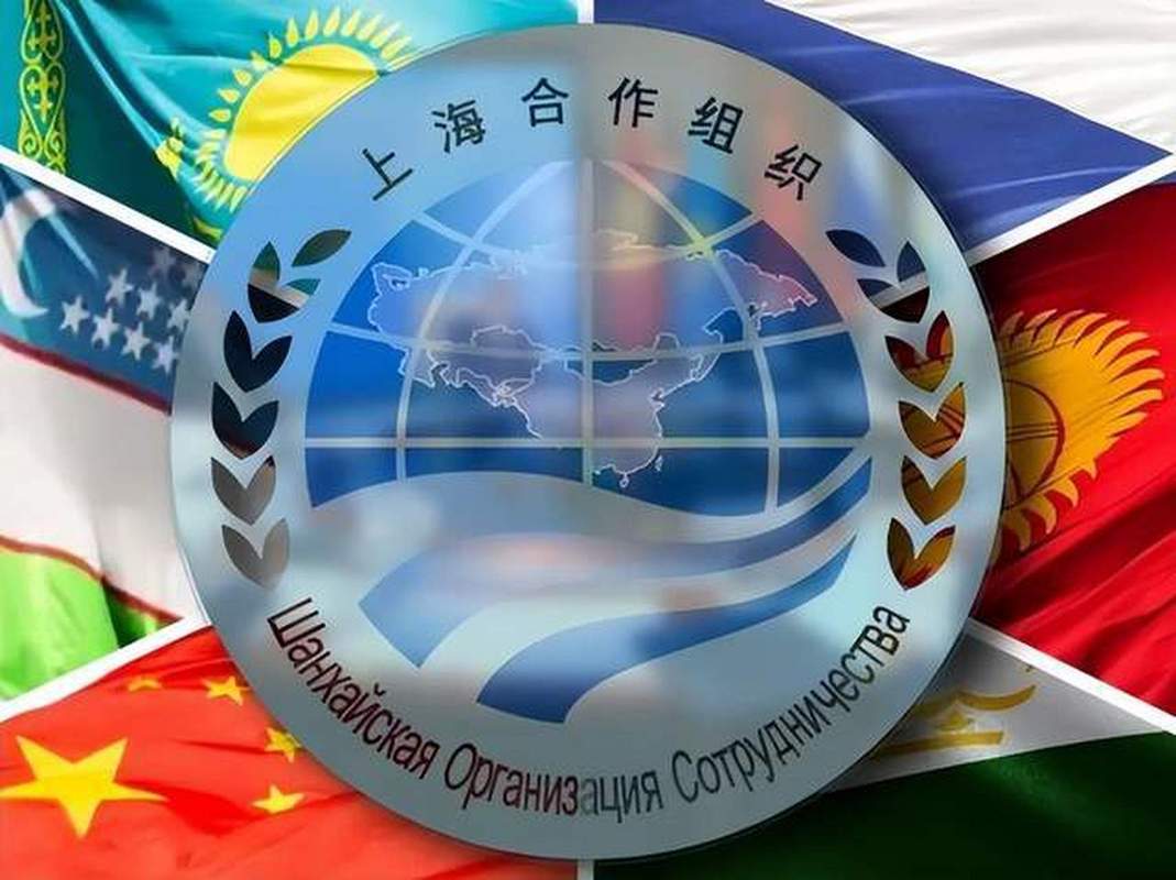 上合组织峰会（上合组织峰会成员国）