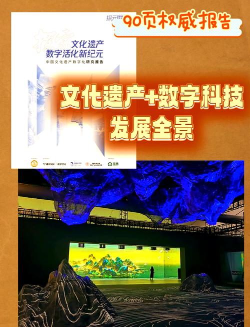 文化遗产数字化（文化遗产数字化保护与开发利用高级研修班）