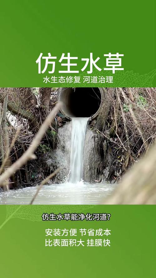 水污染治理（金湖同方水污染治理）