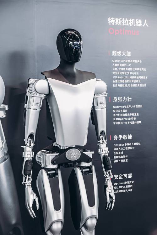 特斯拉人形机器人（特斯拉人形机器人核心供应商）