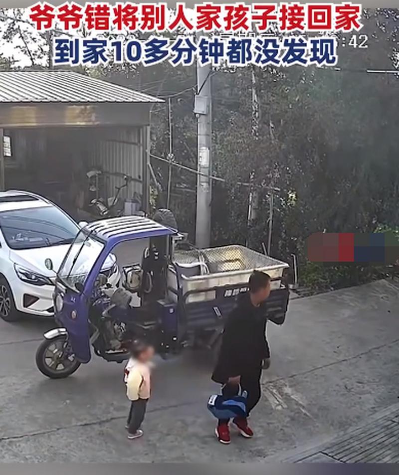 老人接送孩子争议(老人接送孩子上学安全吗)