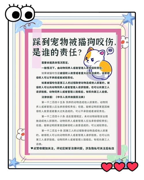 宠物伤人事件（宠物伤人发生的事件）