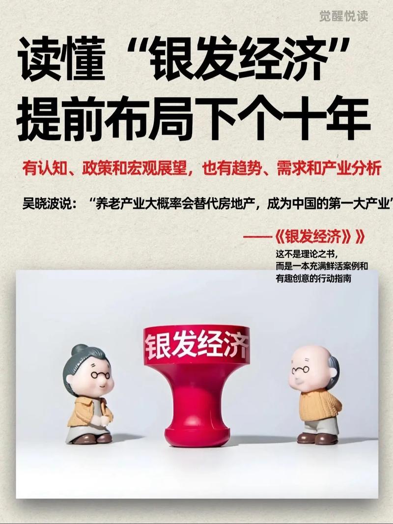 银发经济政策（银发经济政策支持的重点领域包括）