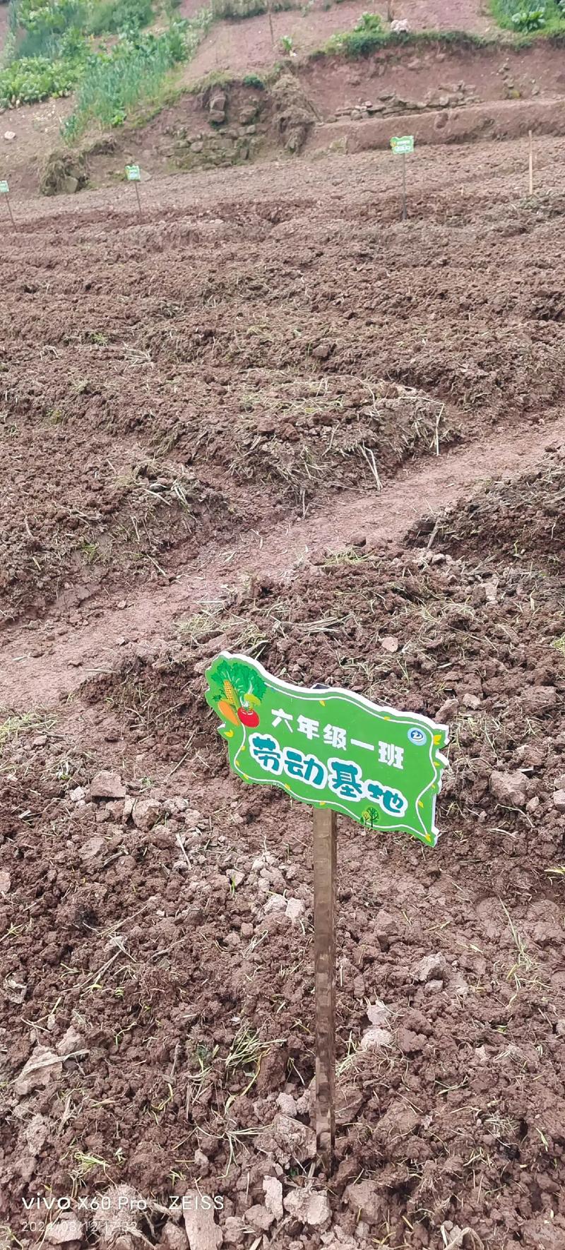 劳动教育实践（劳动教育实践基地）