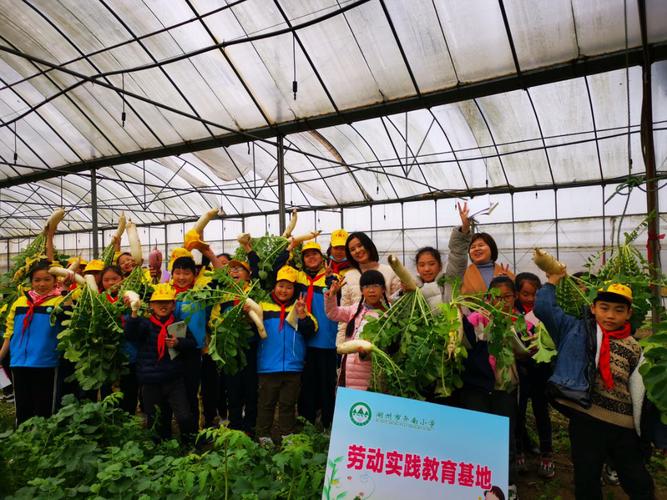 劳动教育实践（劳动教育实践基地）