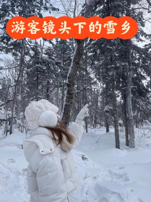 雪乡旅游乱象(雪乡游客)