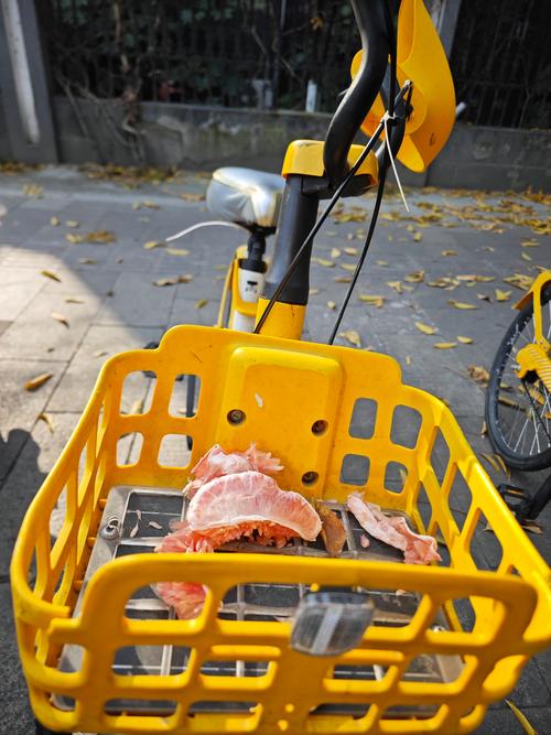 会变形的共享单车(共享单车变摩托)